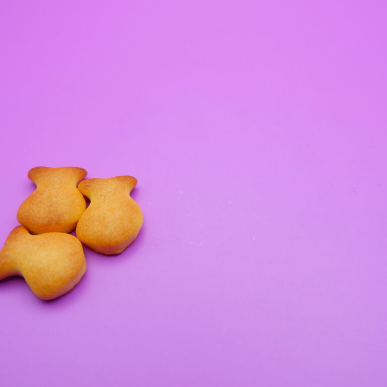 vecteezy_three-biscuits-shaped-like-fish-isolated-on-a-purple-background_47061577